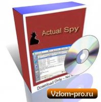 программа слежения за компьютером - Actual Spy