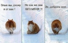 cote 20122 Статусы для Вконтакте лучшие